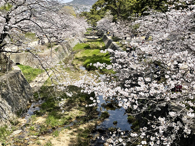 夙川近く・香櫨園駅徒歩2分